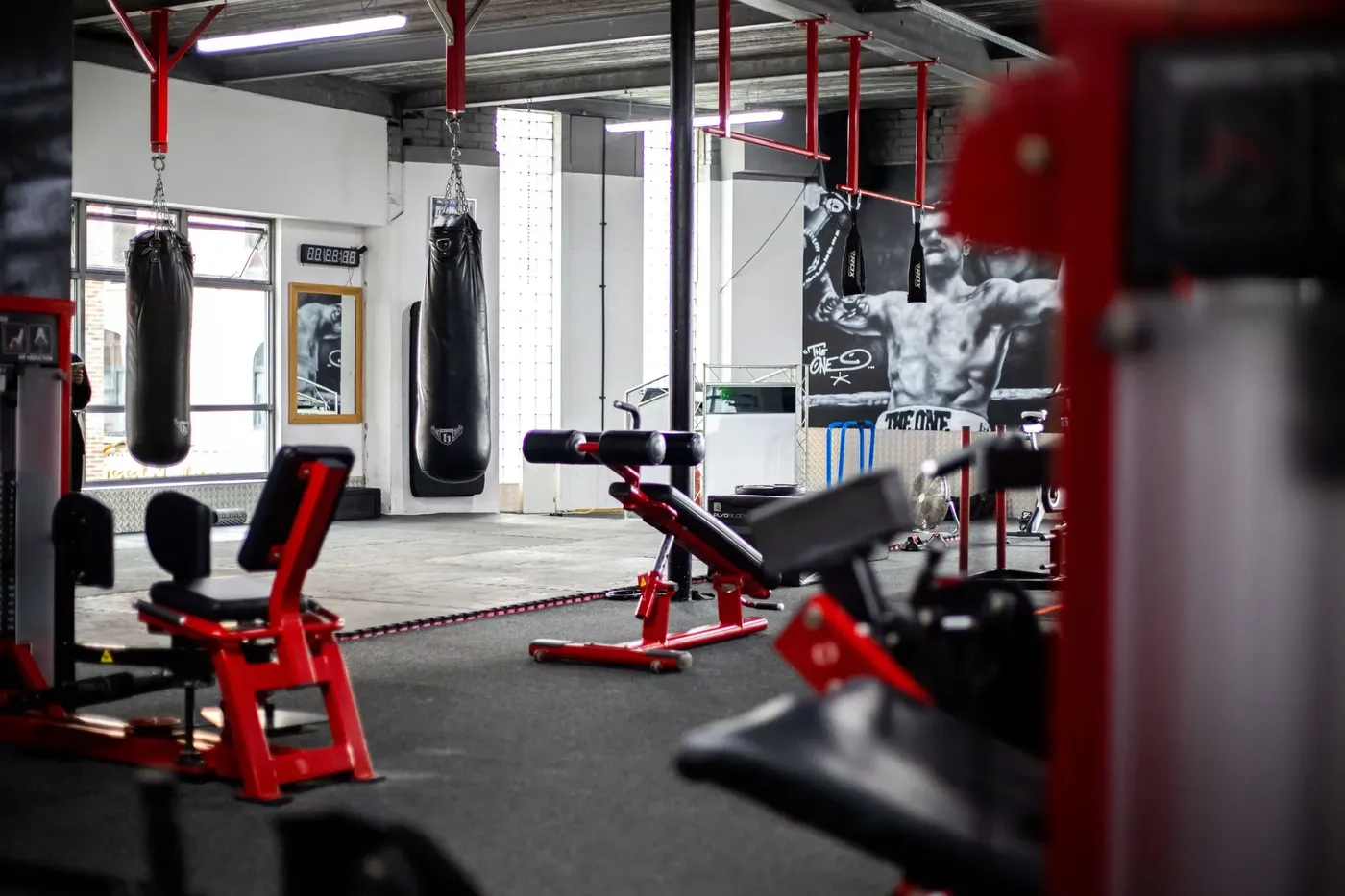 GYM — nuotrauka 2 iš 12