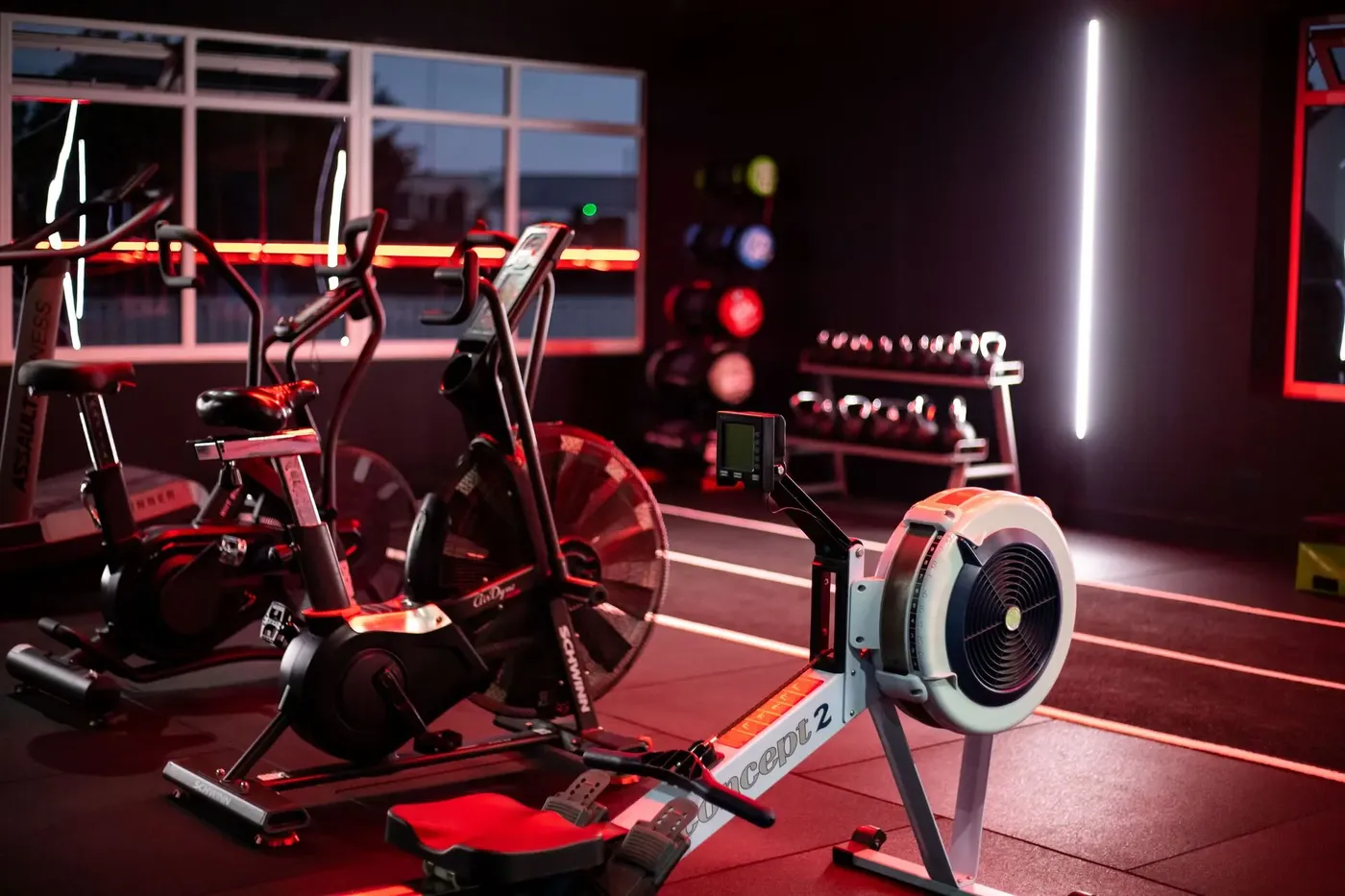 GYM — nuotrauka 5 iš 12
