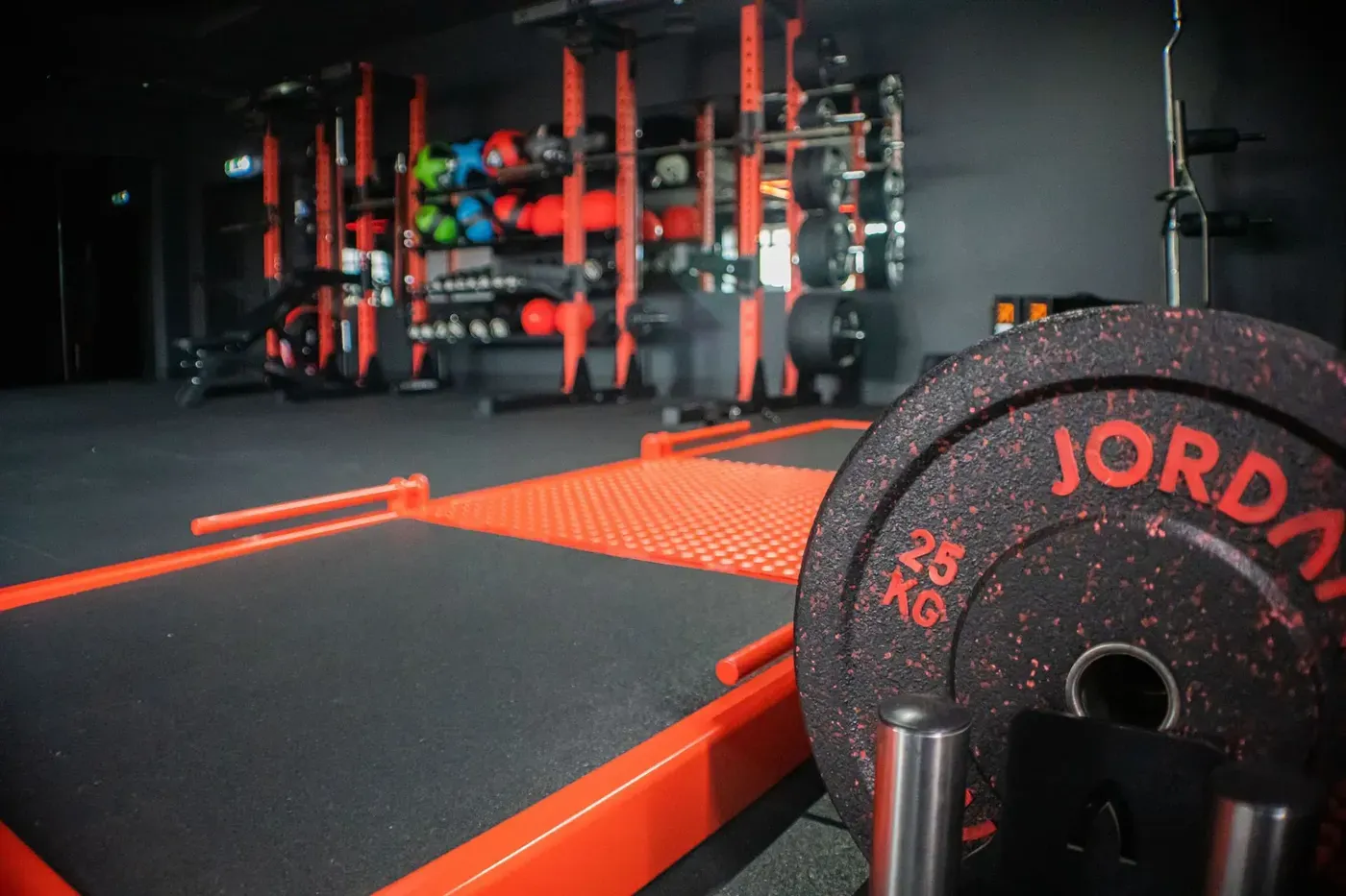 GYM — nuotrauka 7 iš 12