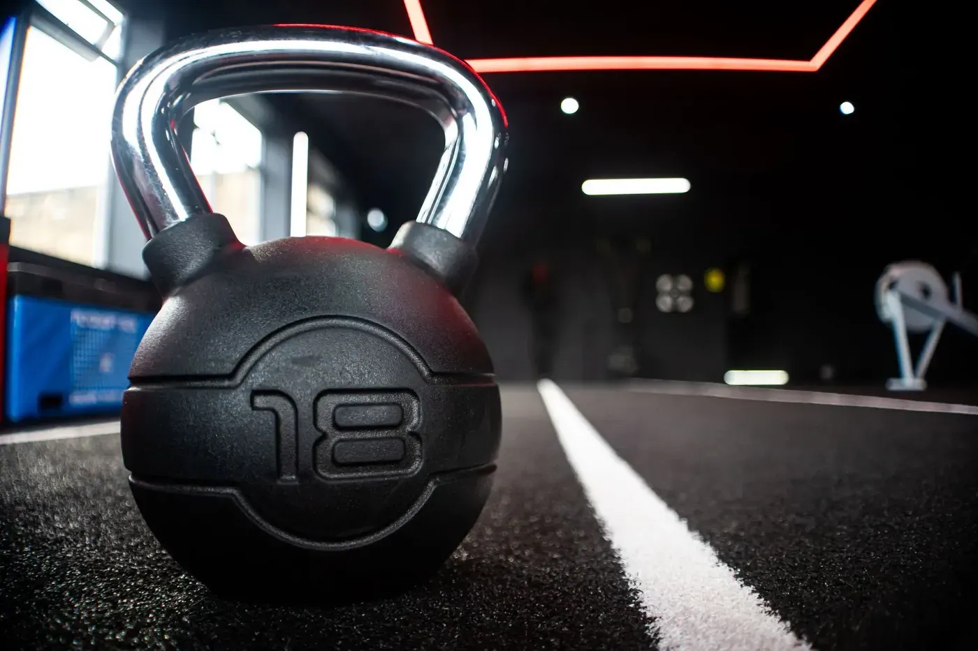 GYM — nuotrauka 8 iš 12
