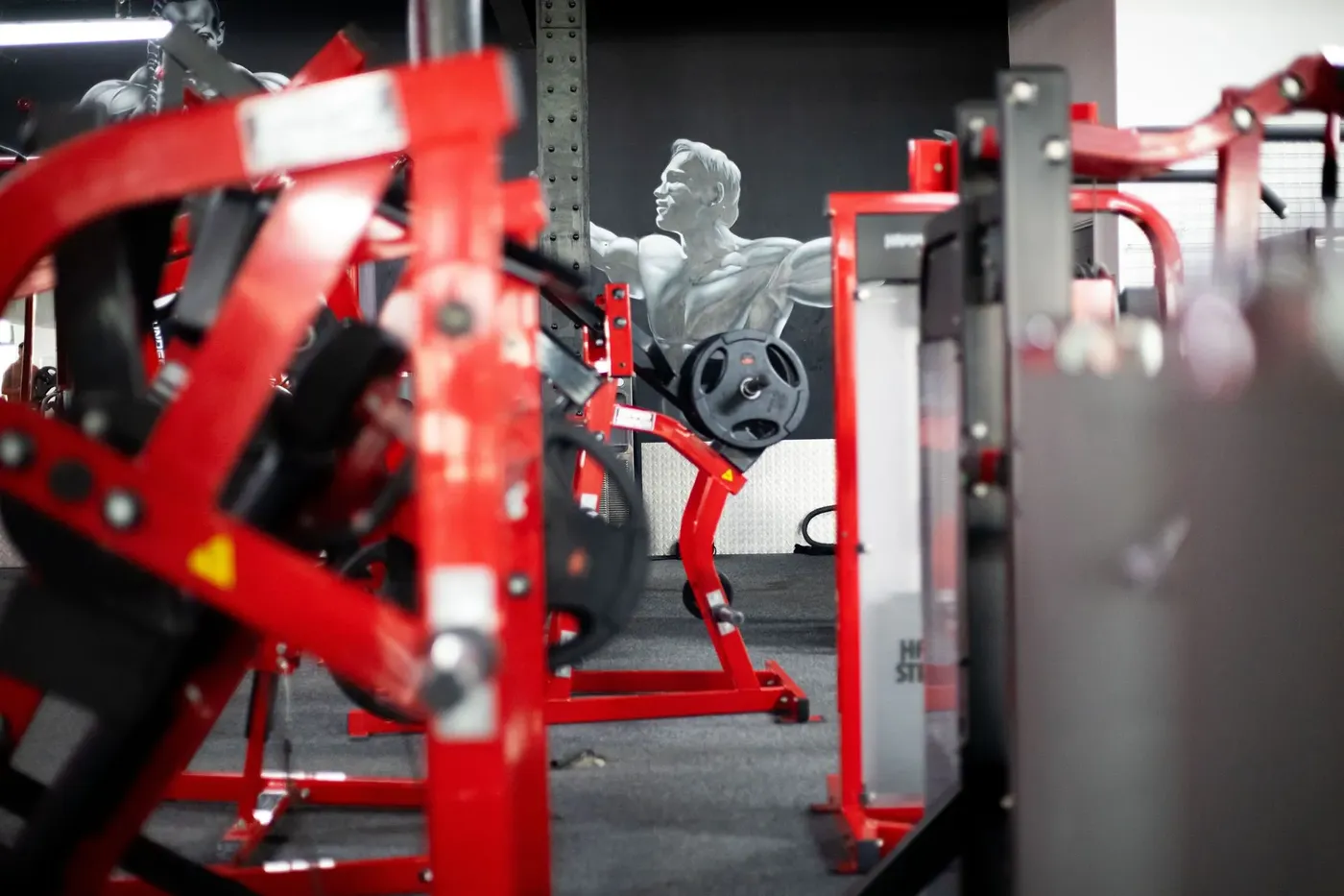 GYM — nuotrauka 11 iš 12