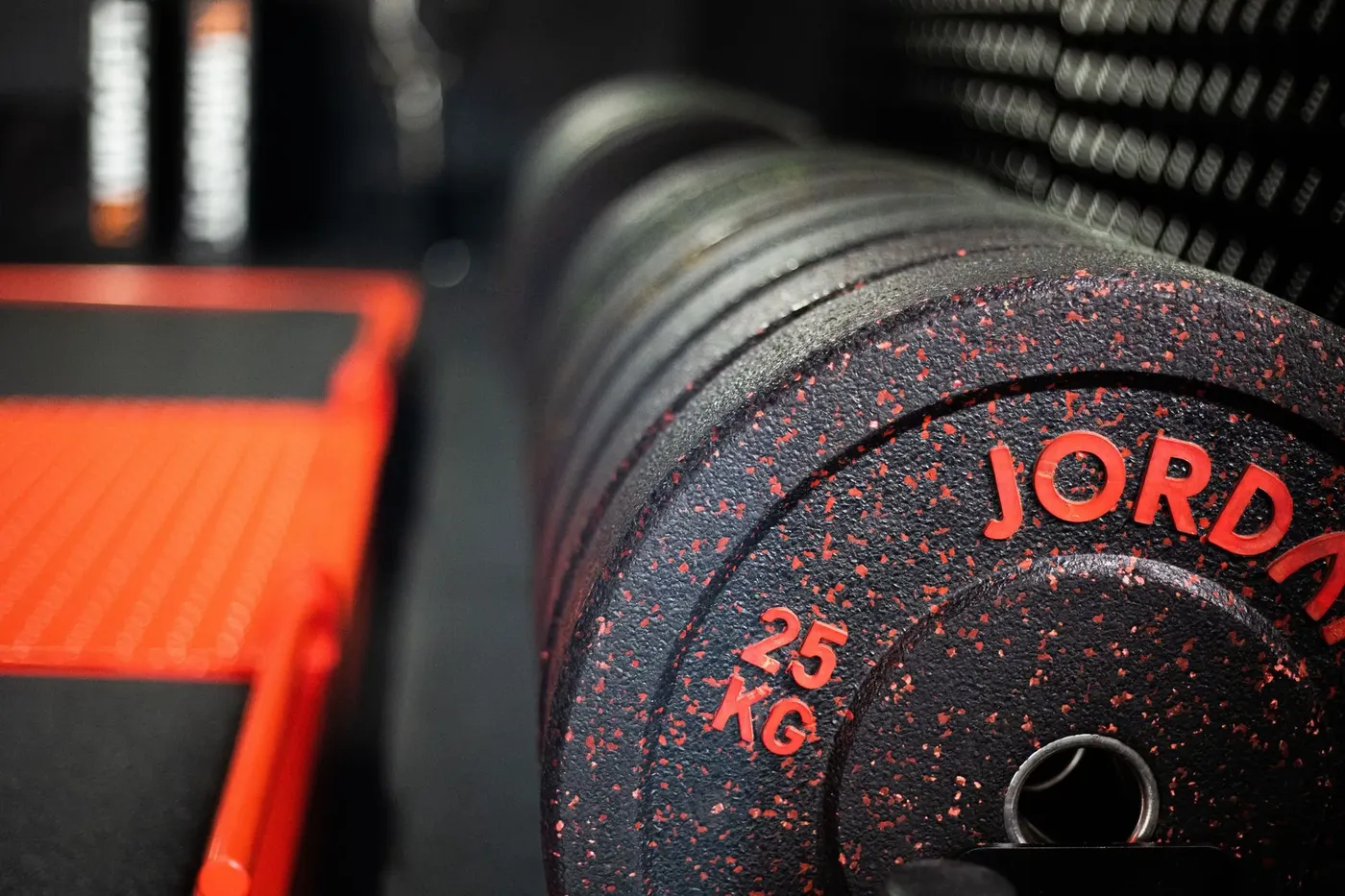 GYM — nuotrauka 12 iš 12