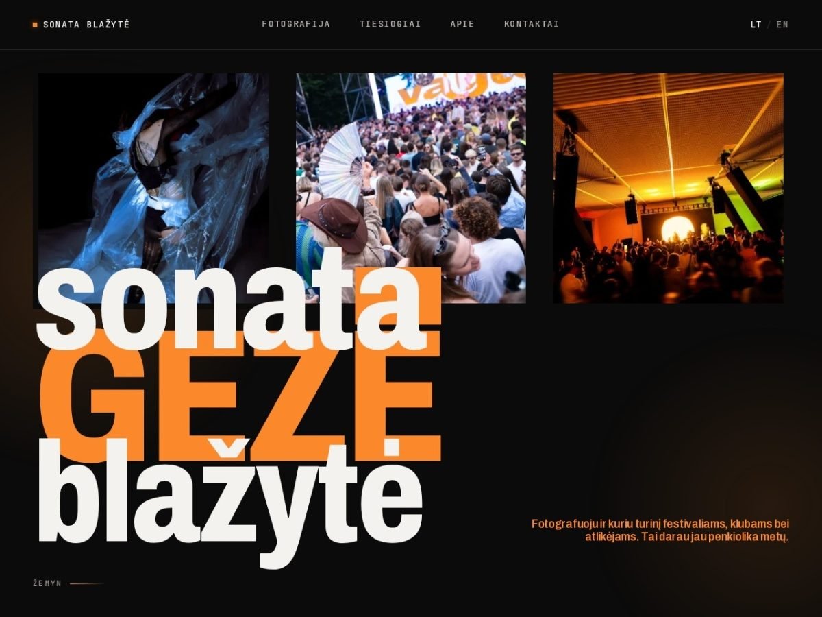 Sonata Visuals svetainės ekrano kopija