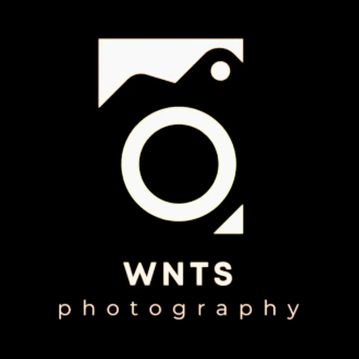 WNTS Photography logotipas